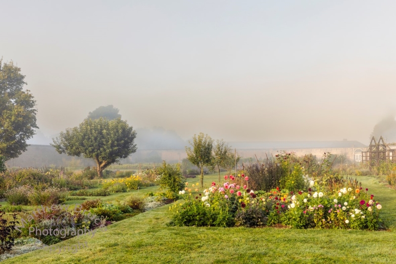 The Walled Garden